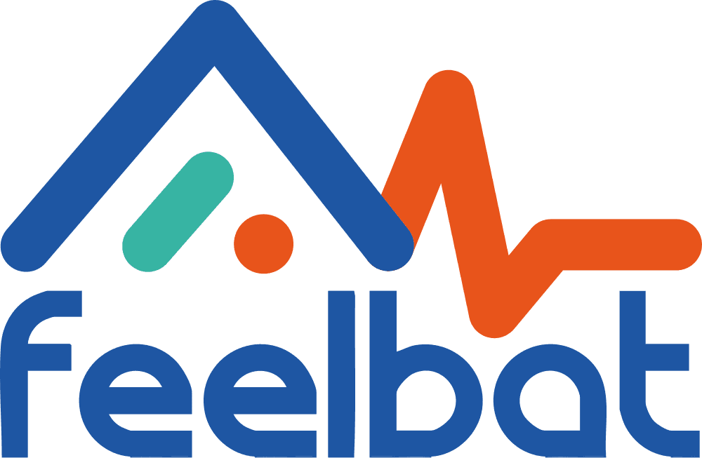 Feelbat - startup accompagnée par Fabrice PAYET